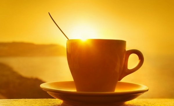 Солнце кофе и цветы