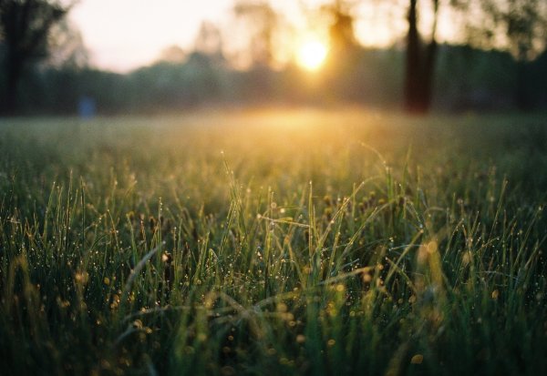 Один Луч солнца