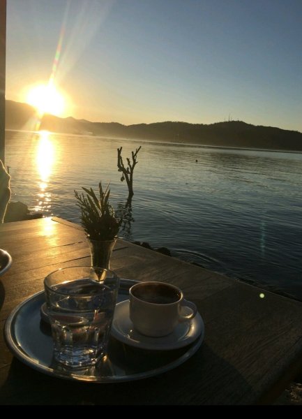 Кофе цветы утро стильные