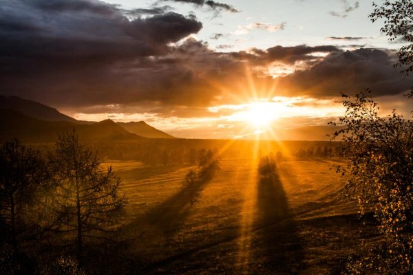 В Луче света