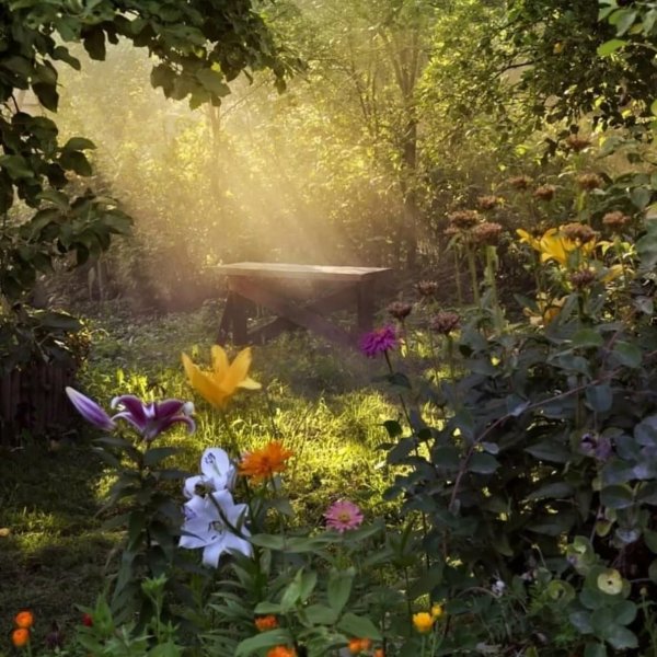 Путешествие в страну экология