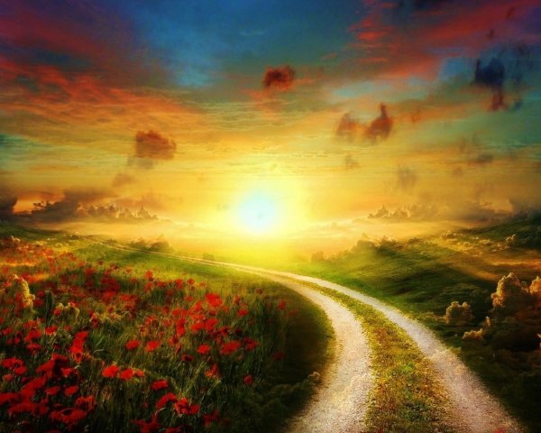 Дорога в светлое будущее