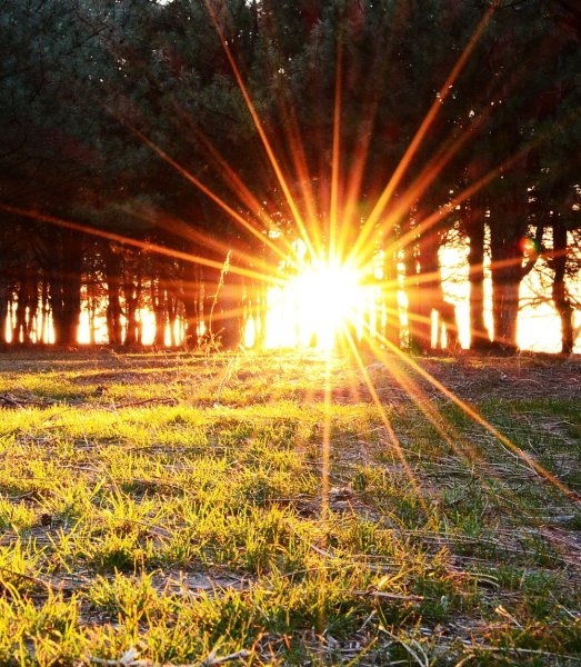 Лучи солнца вектор