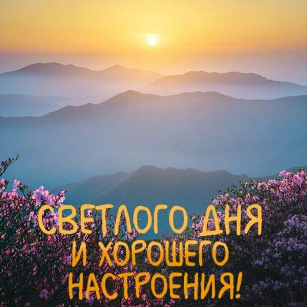 Отличного солнечного дня