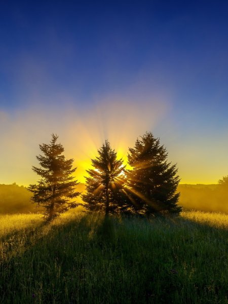 Красивая осень