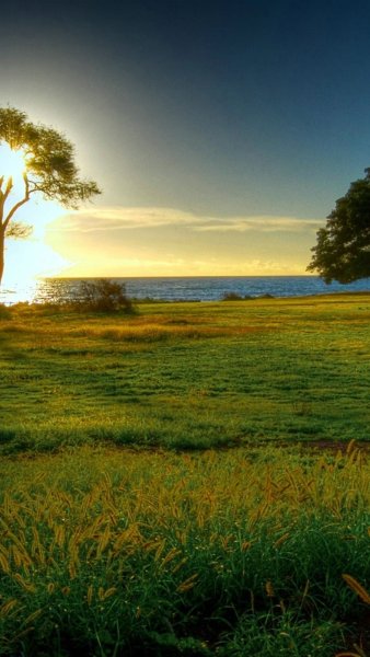 Гармоничный пейзаж