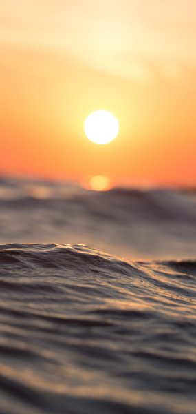 Рассвет в поле