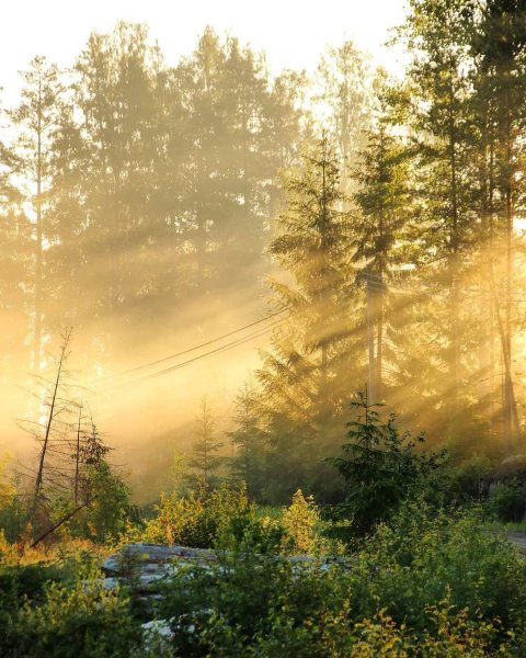 Красивый рассвет