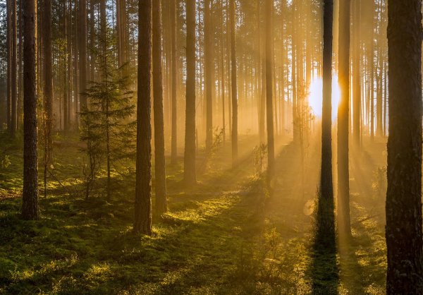 Красота русской природы