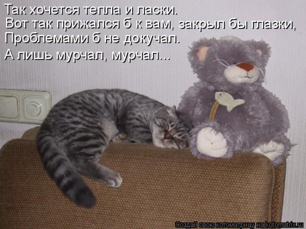 Солнце хорошее настроение