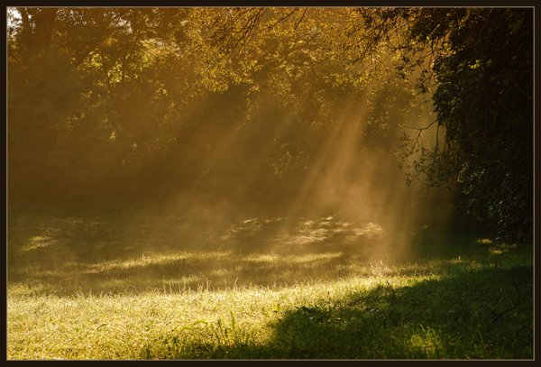 Окружающий мир Радуга