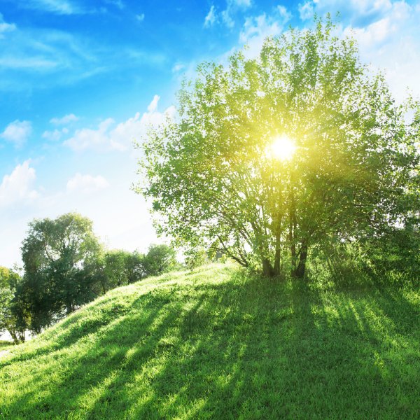 Лучи солнца