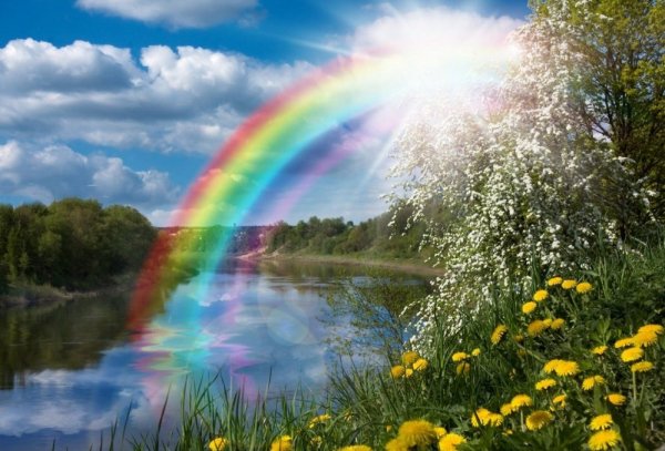 После дождя будет солнце