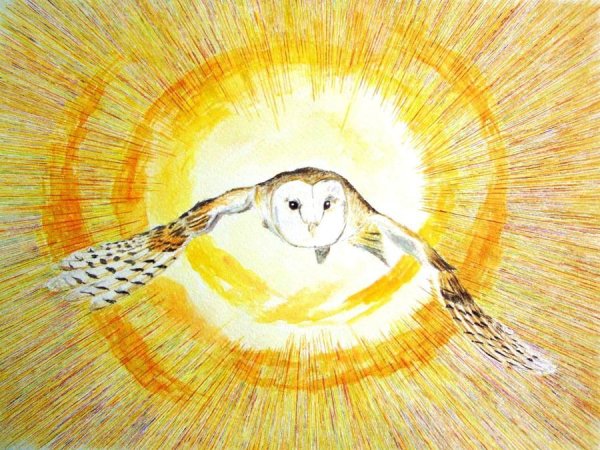 Сова и солнце