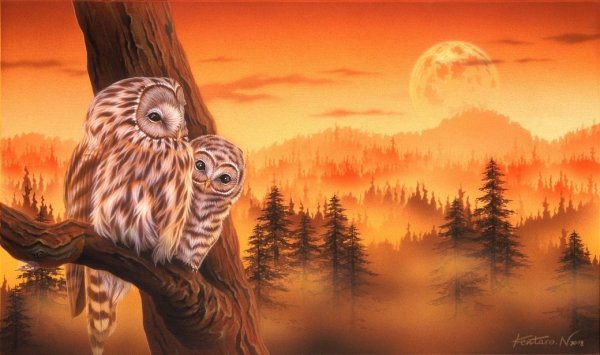 Магическая Сова