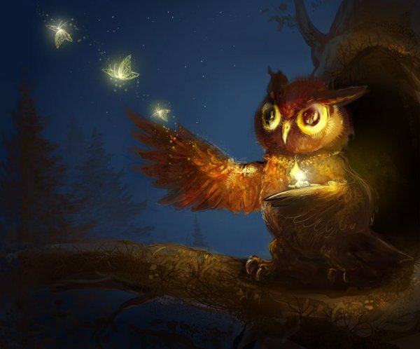 Сова сипуха арт фэнтези
