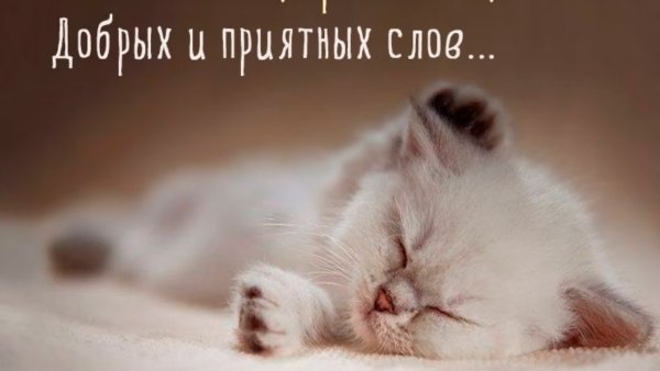 Пожелания спокойной ночи