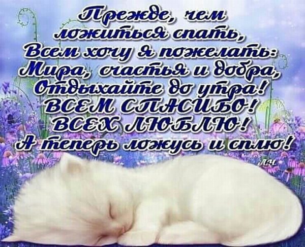 Спокойной сладкой ночи и удивительных снов