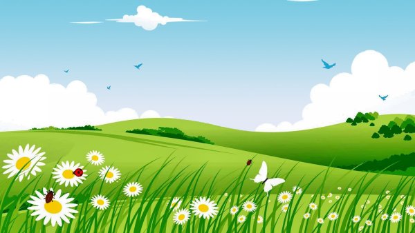 Фон Луга для детей дошкольного возраста