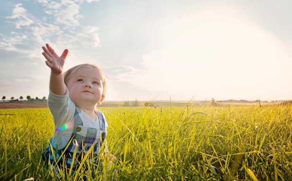 Солнце дети счастье
