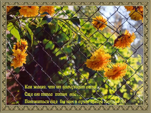 Отличного настроения в дождливый день