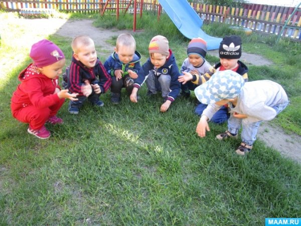 Приборы наблюдения за солнцем