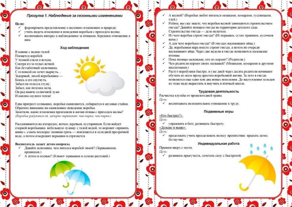 Наблюдение за природой осенью