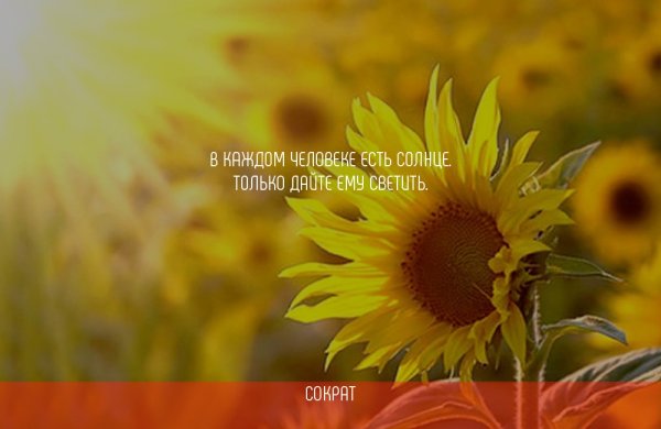 Афоризмы про солнце