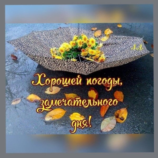 Открытка солнышко в душе