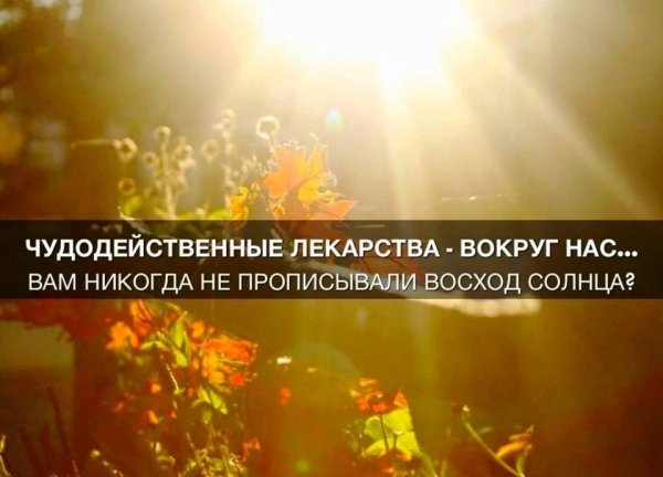 Высказывания про солнце