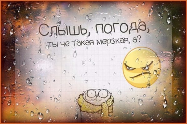 Хорошего дня и настроения в любую погоду