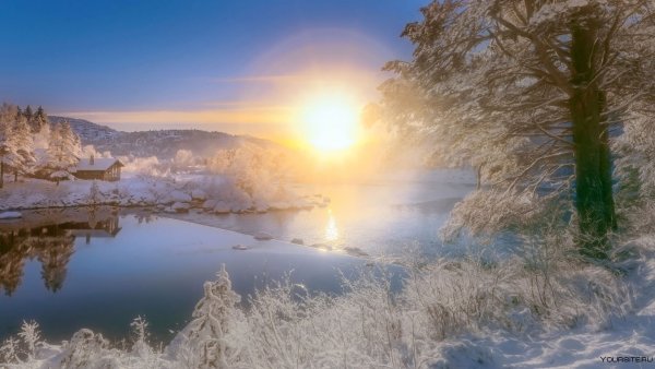 Зима солнце