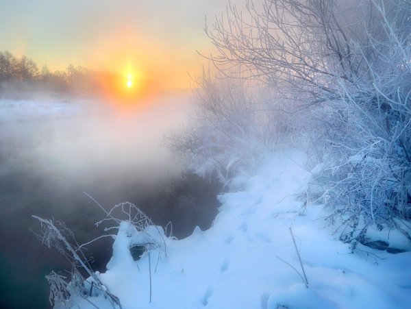 Снежное морозное утро