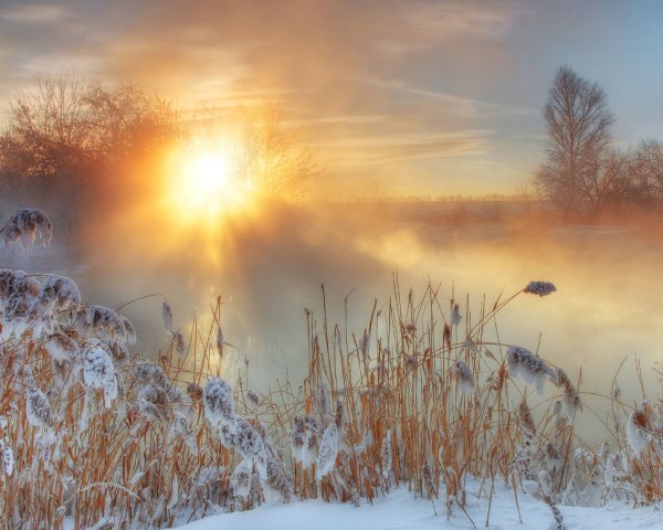 Рассвет зимой в поле