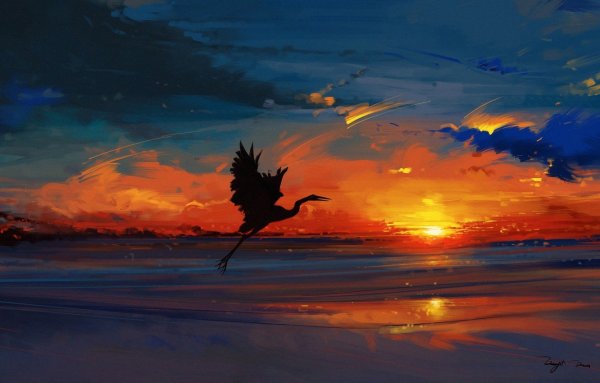 Птицы над полем