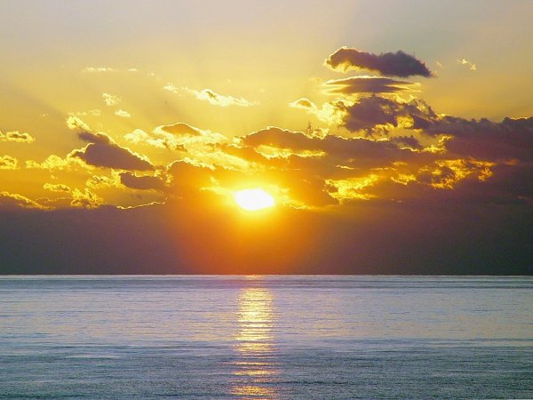 Коловрат Солнцеворот