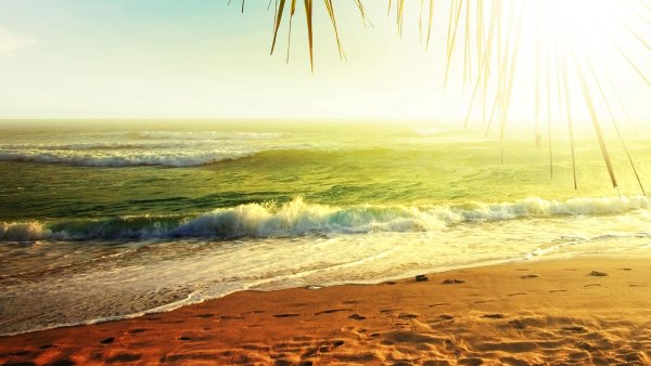 Море солнце