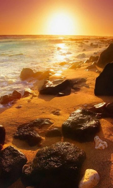 Золотой закат