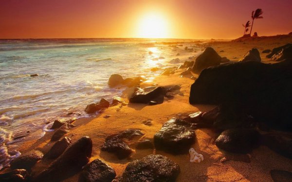 Солнечные блики на воде