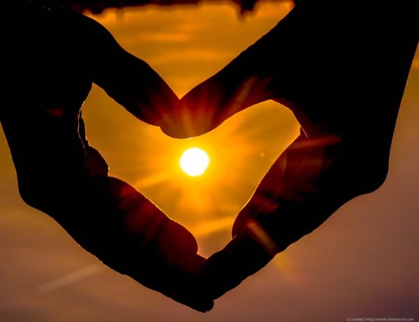Сердце солнце