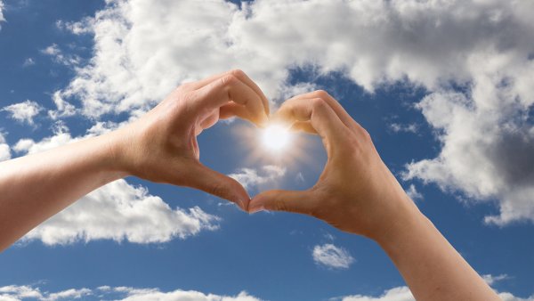 Сердце в руках