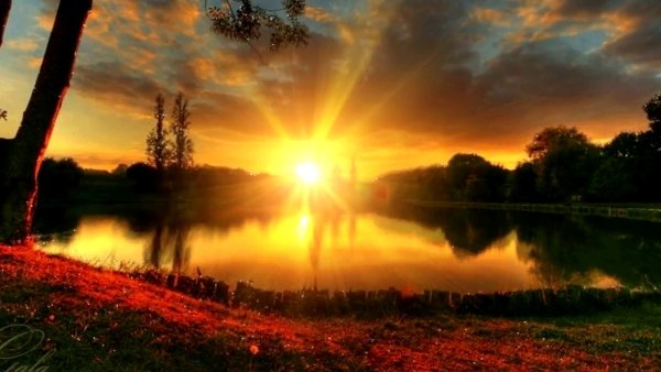 Добрый вечер солнышко