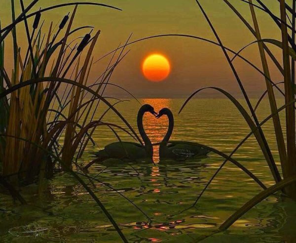 Доброй ночи