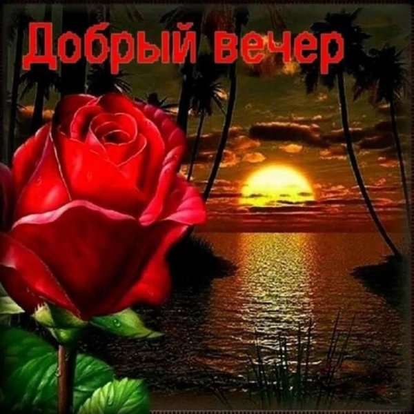 Добрый морской вечер