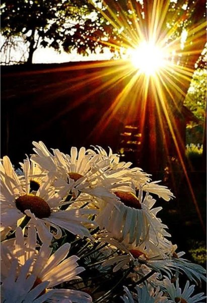 Августовский закат