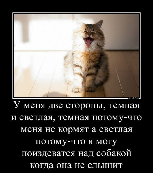 Наконец то тепло Весна