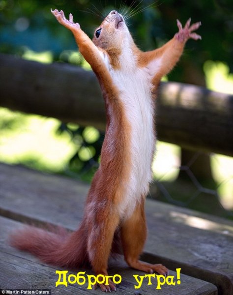 Мемы про весну