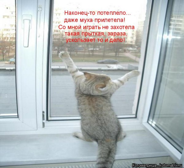 Весна пришла