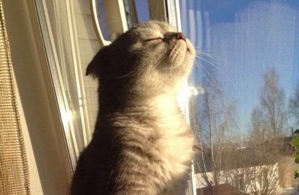 Утро позитивное настроение