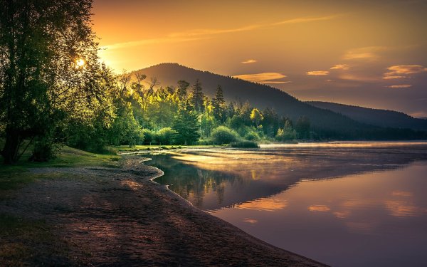 Жизнь природа